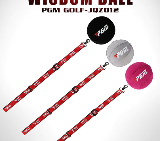 PGM Swing ball