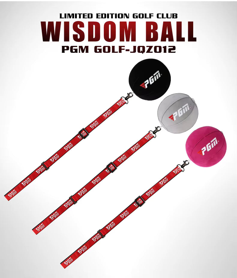 PGM Swing ball